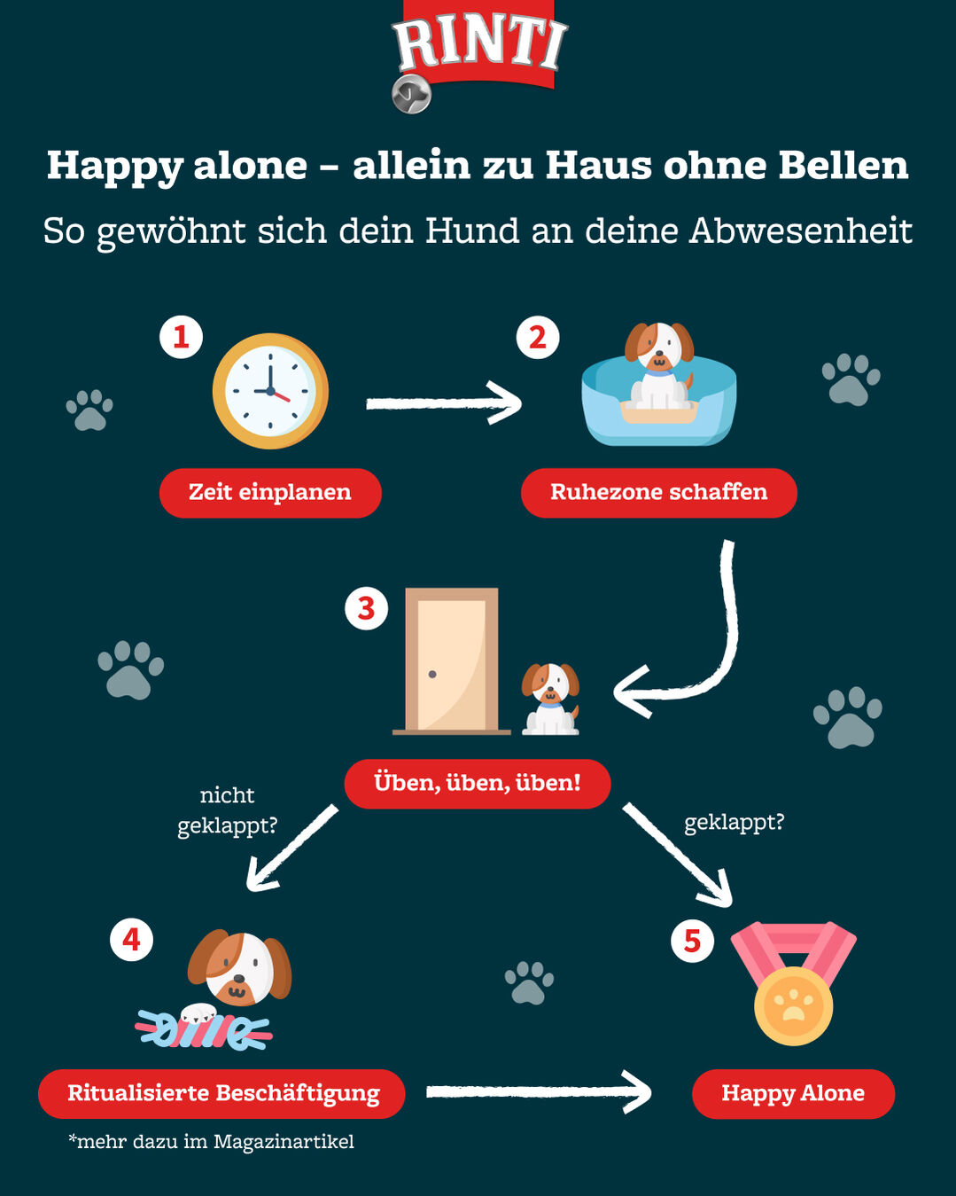 Infografik von Rinti zum Thema Hund allein zu Hause