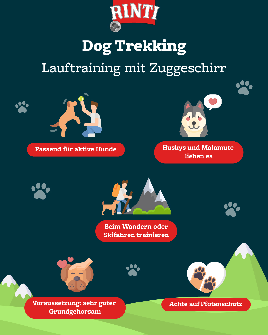 Infografik zum Thema Joggen mit Hund