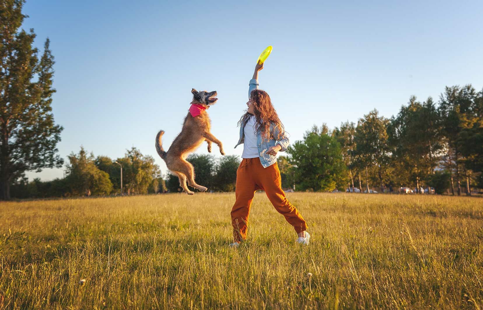  Eine junge Frau spielt im Park mit ihrem Hund Frisbee.