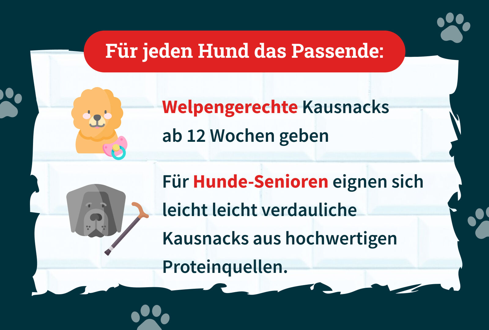 Slide 5: Für jeden Hund das passende