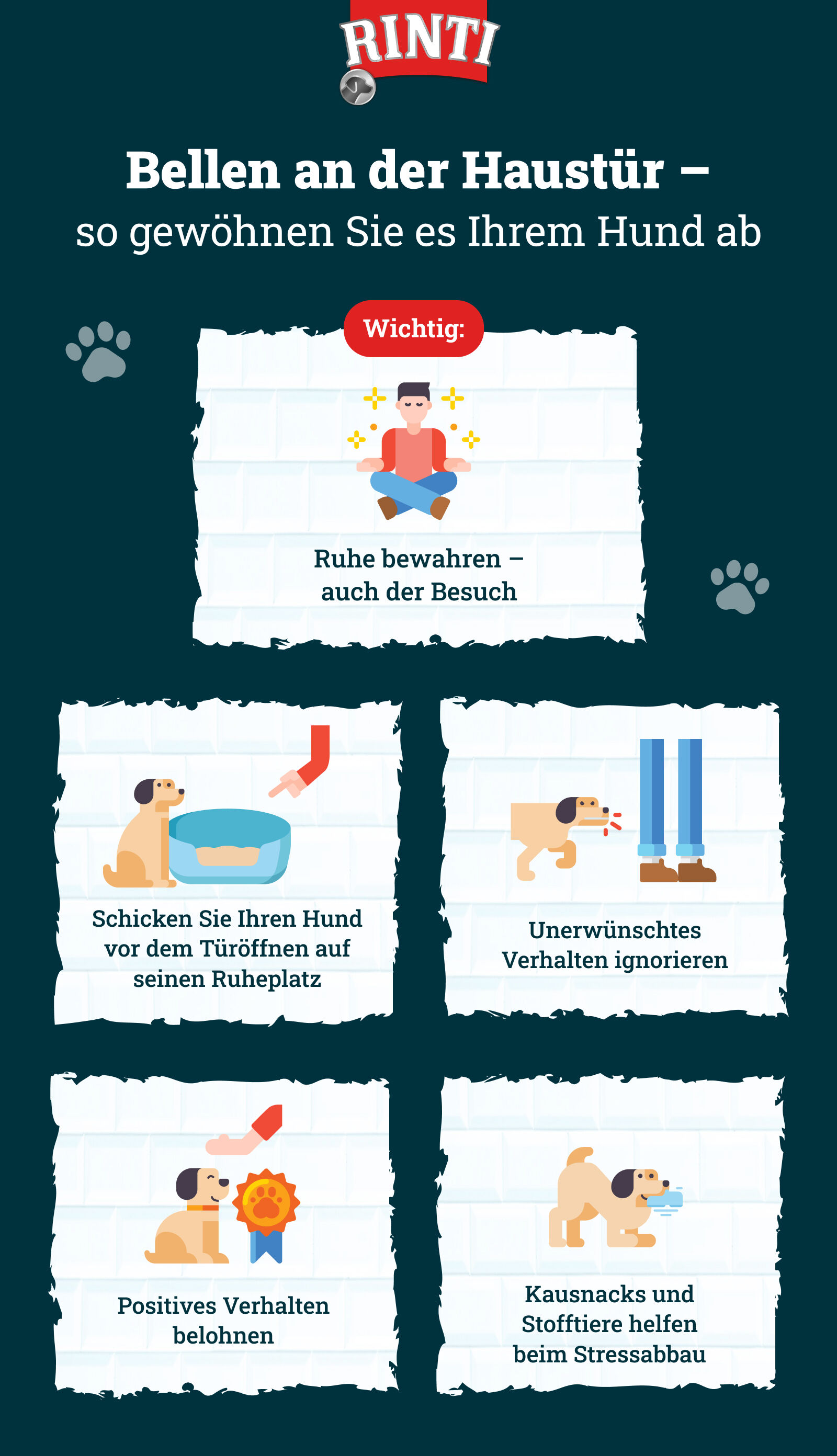 Geräusche Die Hunde Zum Bellen Bringen Ursachen und Lösungen für ständiges Bellen | RINTI