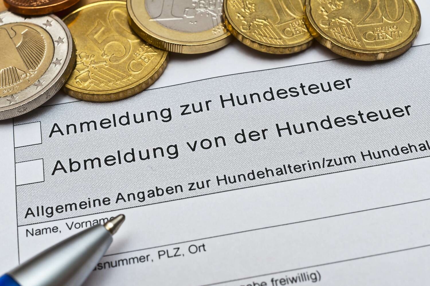 Auf einem Formular zur An- und Abmeldung für die Hundesteuer liegen einige Euro-Münzen.