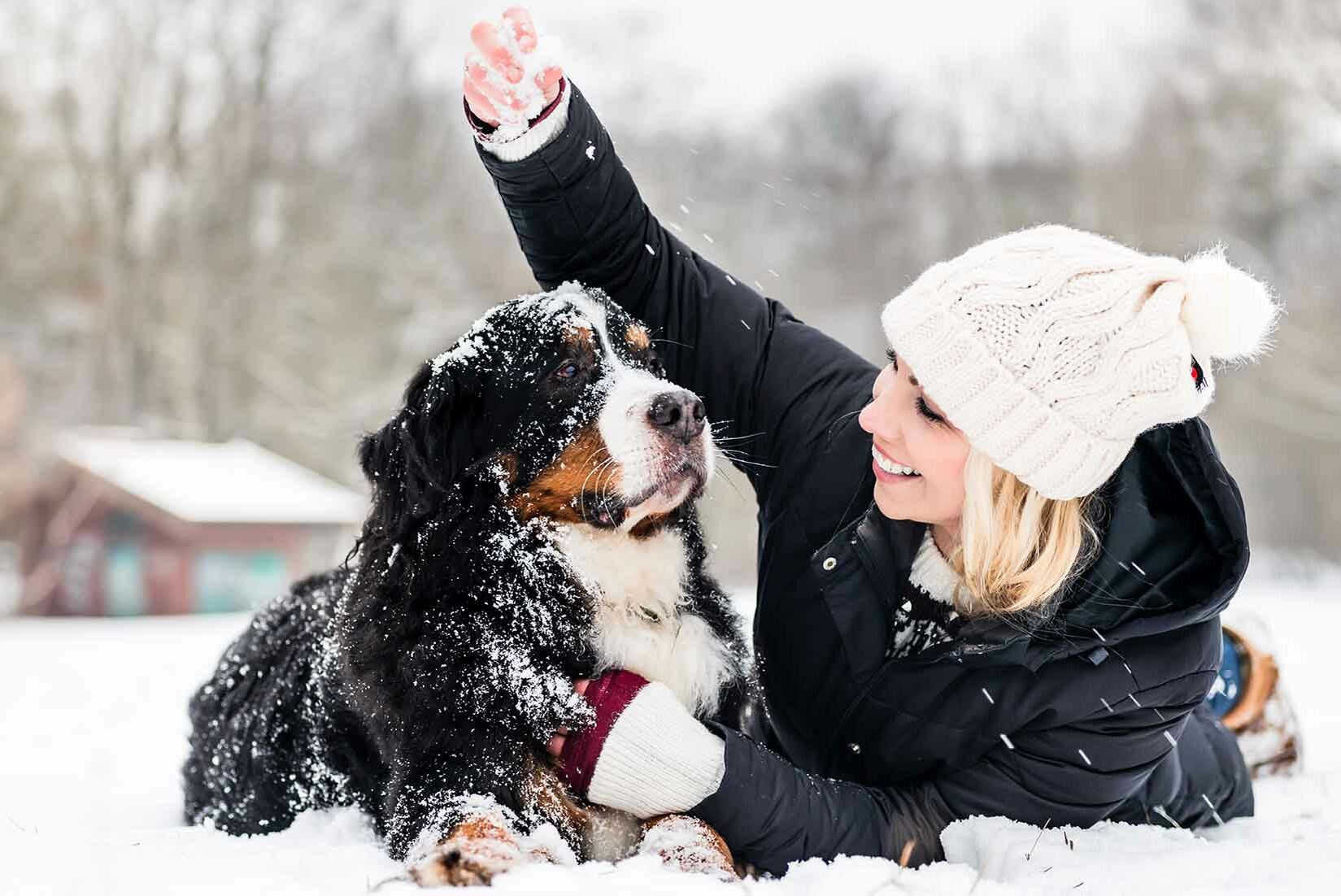 Wie oft müssen Hunde raus?