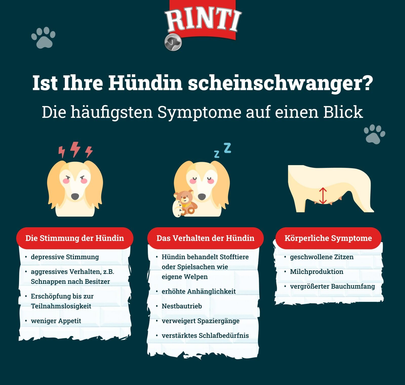 Infografik von Rinti zum Thema Scheinschwangerschaft bei Hunden