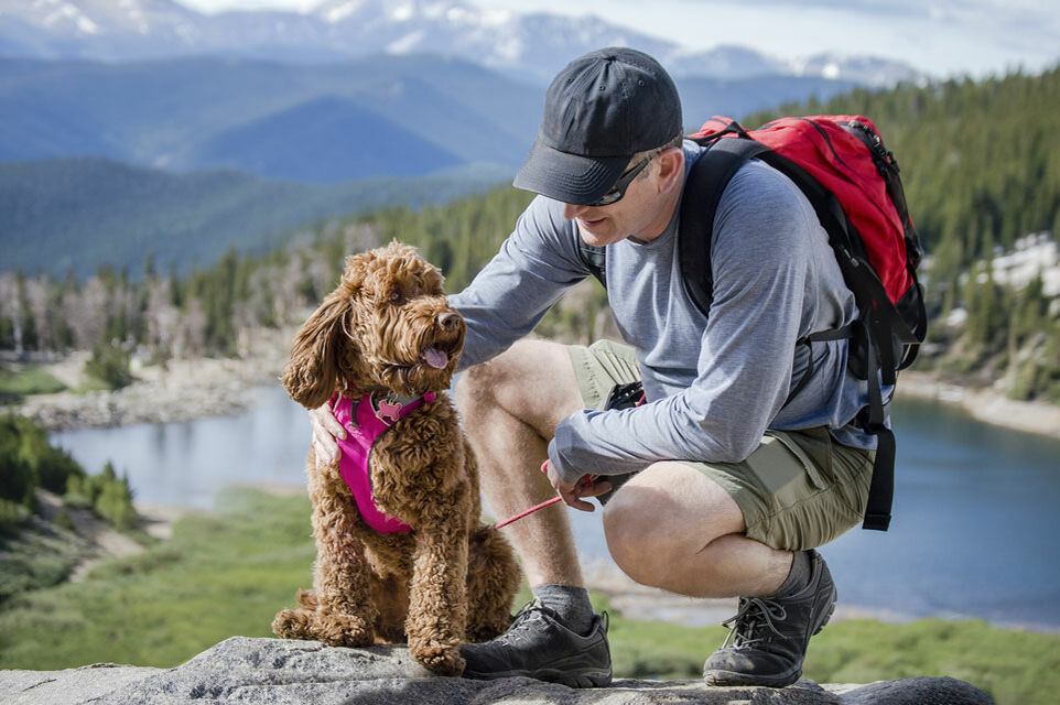 in Mann mit Rucksack und Wanderschuhen kniet auf einem Fels und streichelt einen Labradoodle. Im Hintergrund ist eine Berglandschaft mit einem Nadelwald und einem See zu sehen