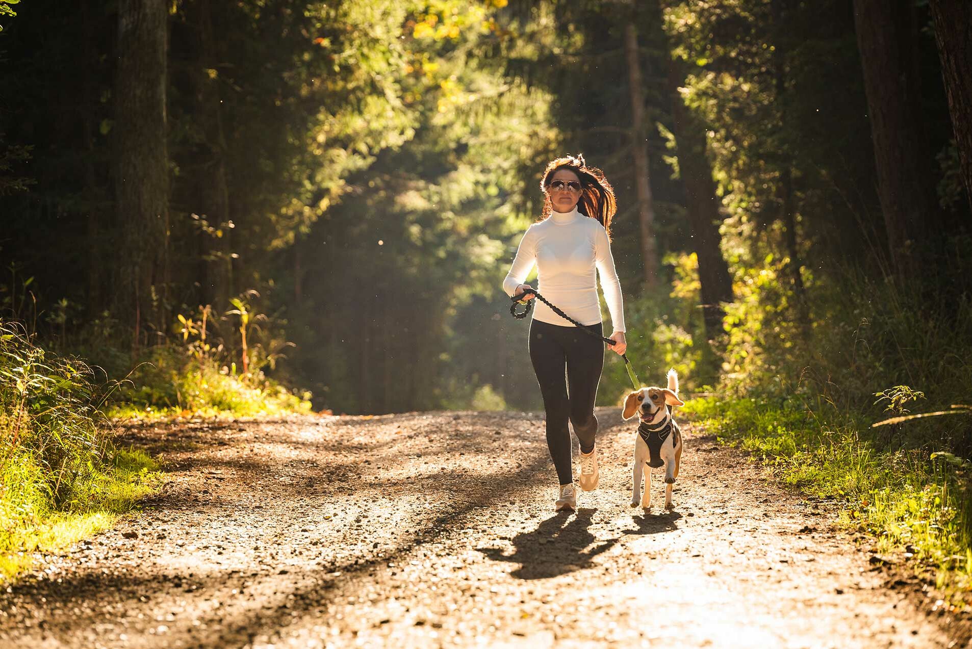 angeleinter Hund joggt durch einen Park mit seinem Frauchen