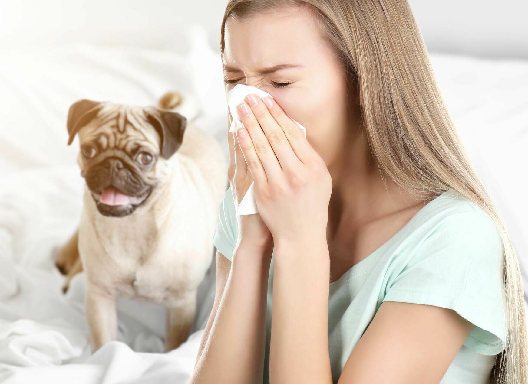 Frau niest in ein Taschentuch und im Hintergrund sitzt ein Hund auf dem Bett.