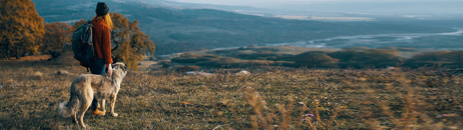 Eine Frau steht mit ihrem Hund in der Wildnis.