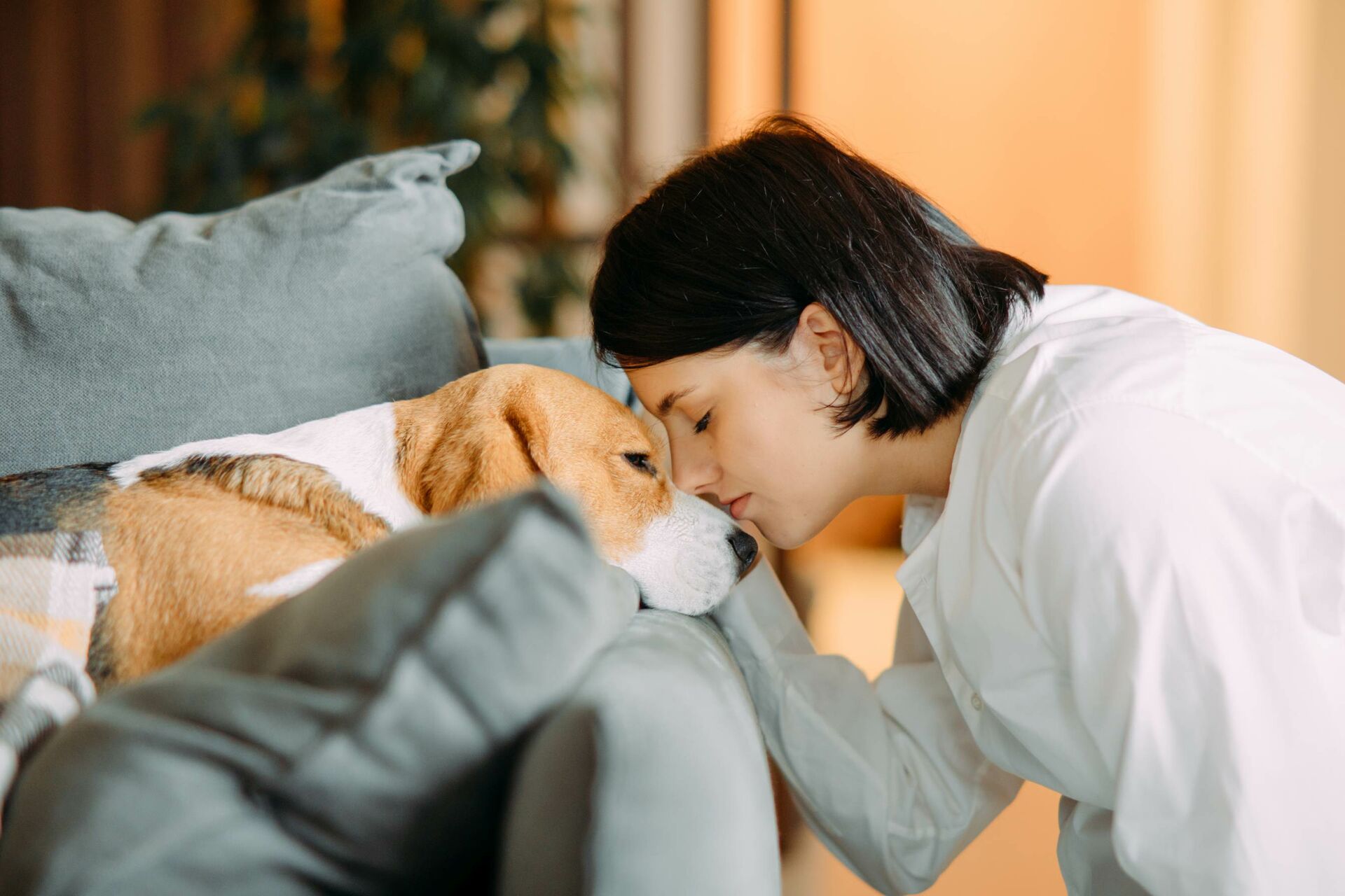 Frau legt ihren Kopf auf den Kopf eines Hundes, der auf dem Sofa liegt.