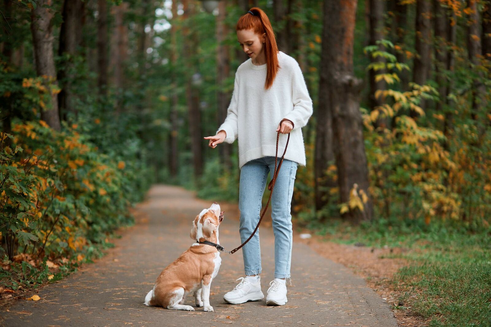 Ihr Hund hört nicht?