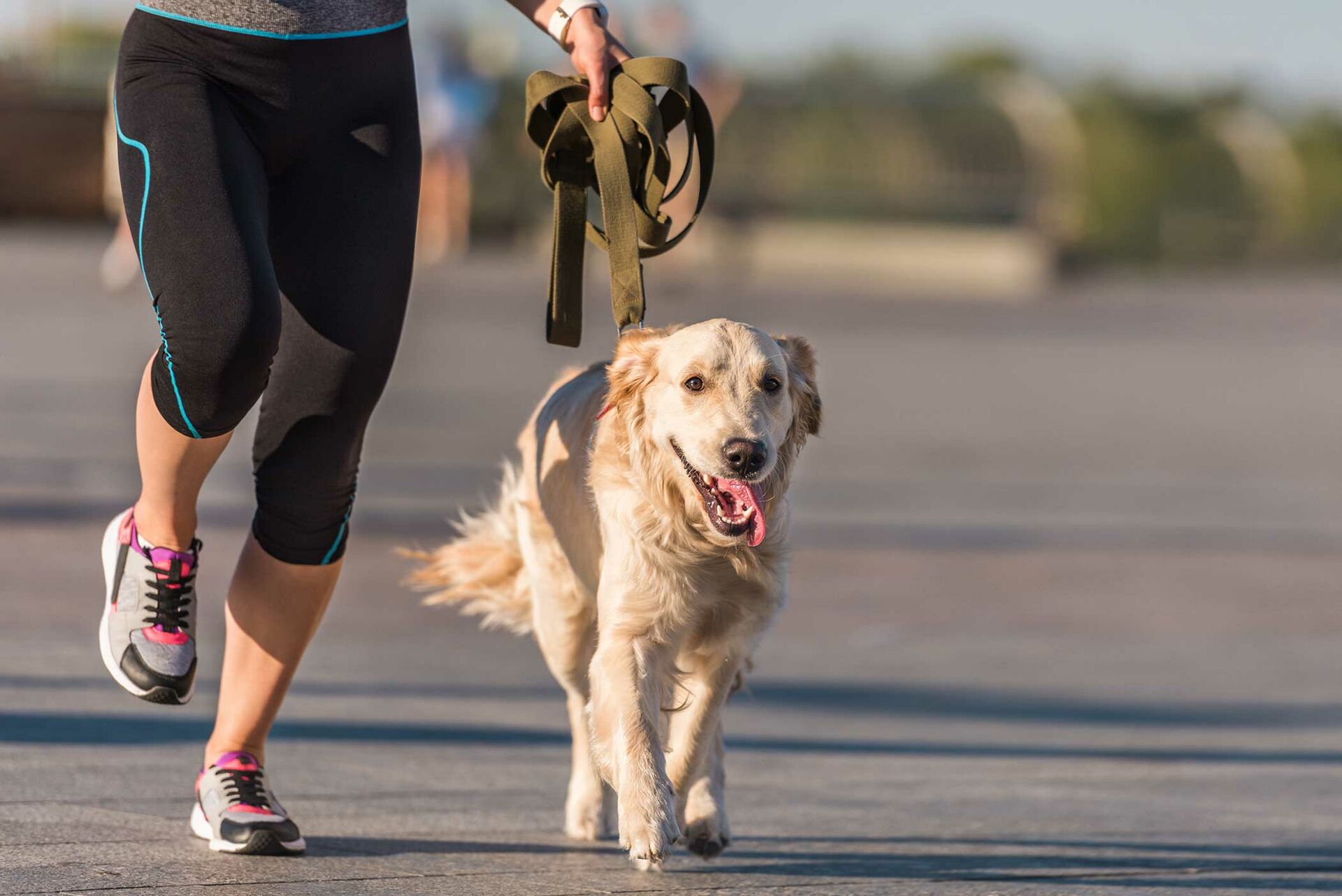 Joggen mit Hund