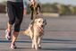 Neben einer joggenden Frau in Turnschuhen und Trainingshose läuft ein Golden Retriever an der Leine.