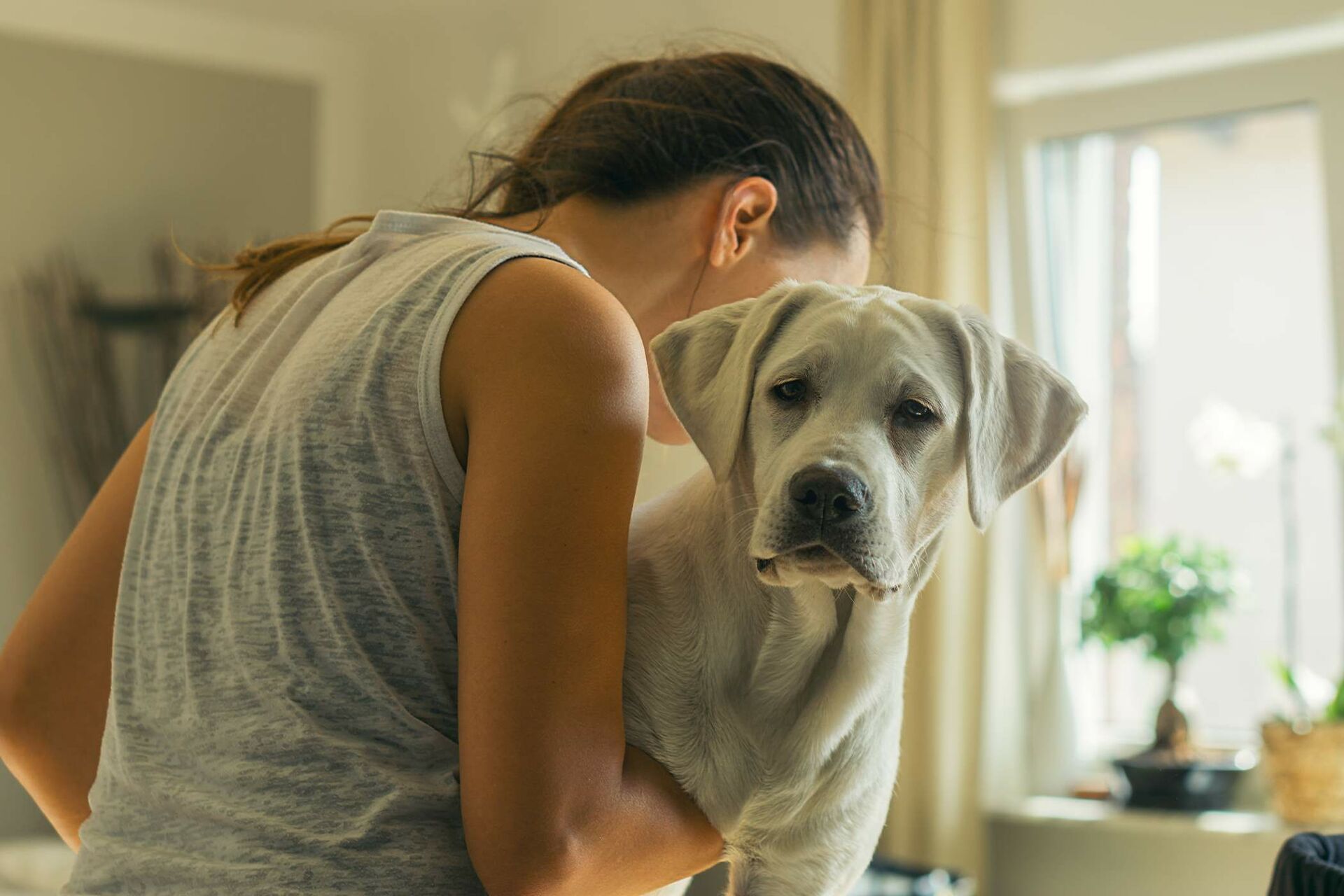 Hund richtig tragen – aber wie?