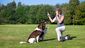 Eine Frau sitzt mit ihren Hunden auf einer Wiese und trainiert sie mit einer Hundepfeife.