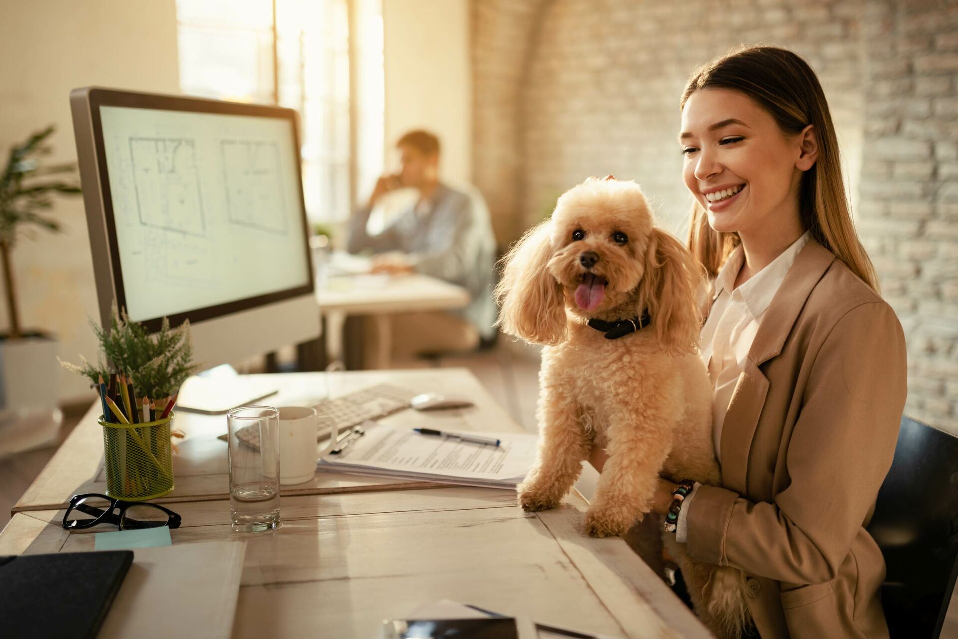 Mit dem Hund ins Büro