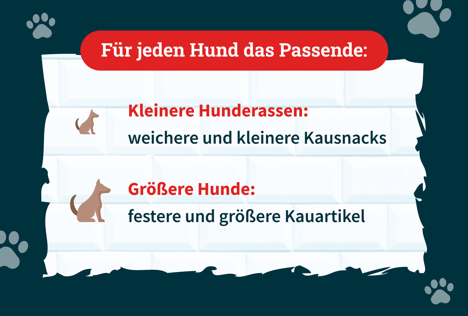 Slide 3: Kleine und große Hunde