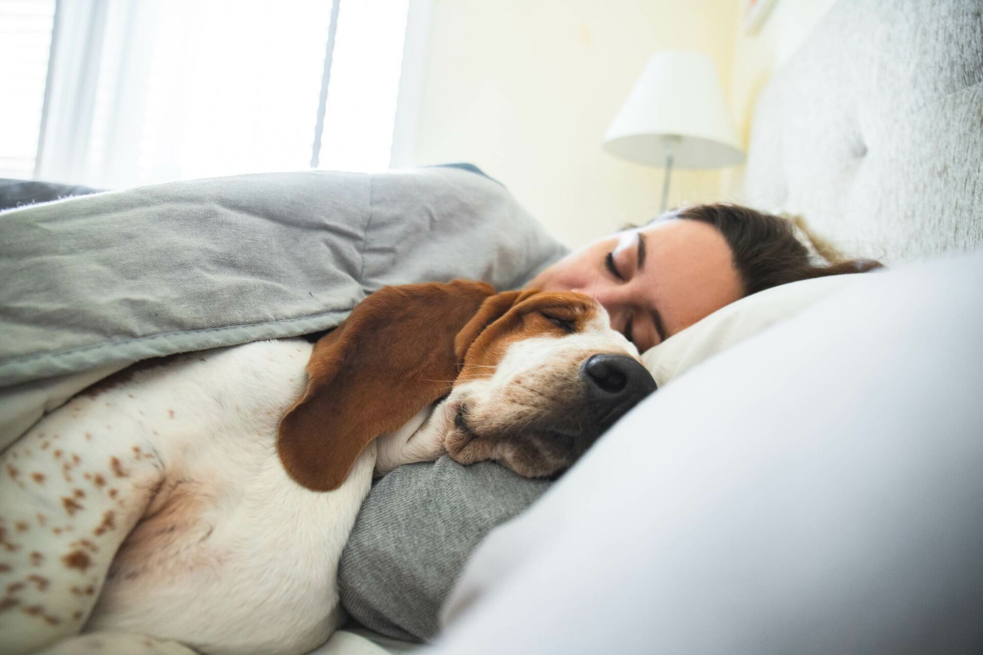 Frau und Hund decken sich mit einer Wolldecke zu und liegen nebeneinander in einem Bett.