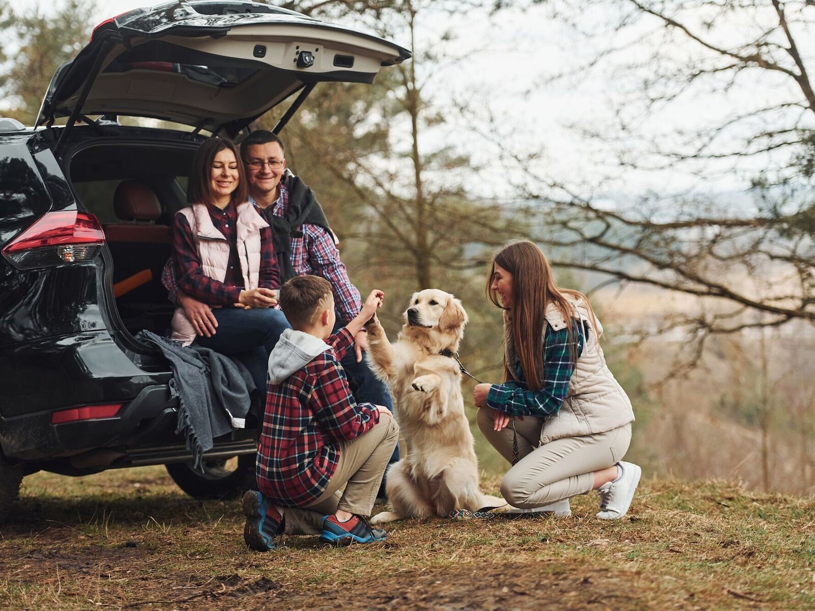 Leben mit Hund: So gelingt es