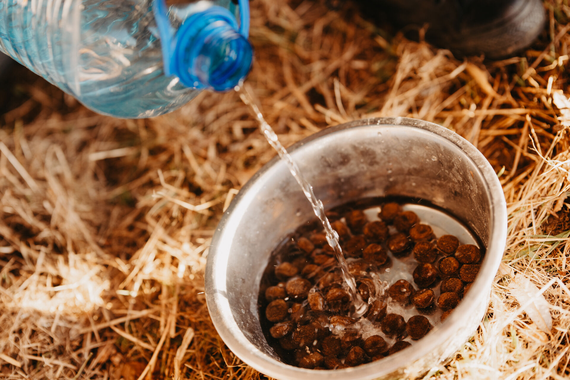 Wasser wird in einen Napf gegossen