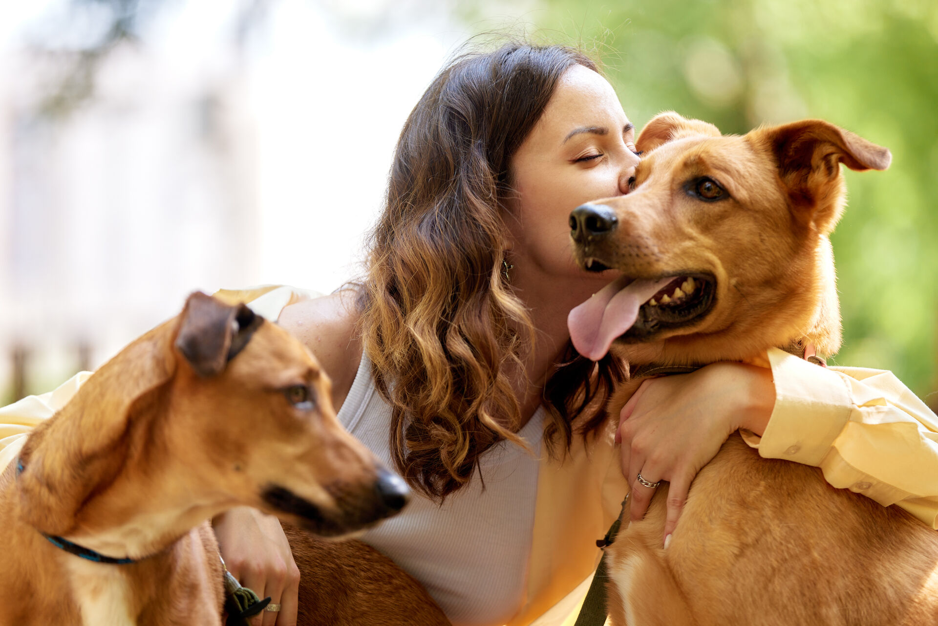 Eine Frau umarmt zwei Hunde und küsst einen auf die Wange.