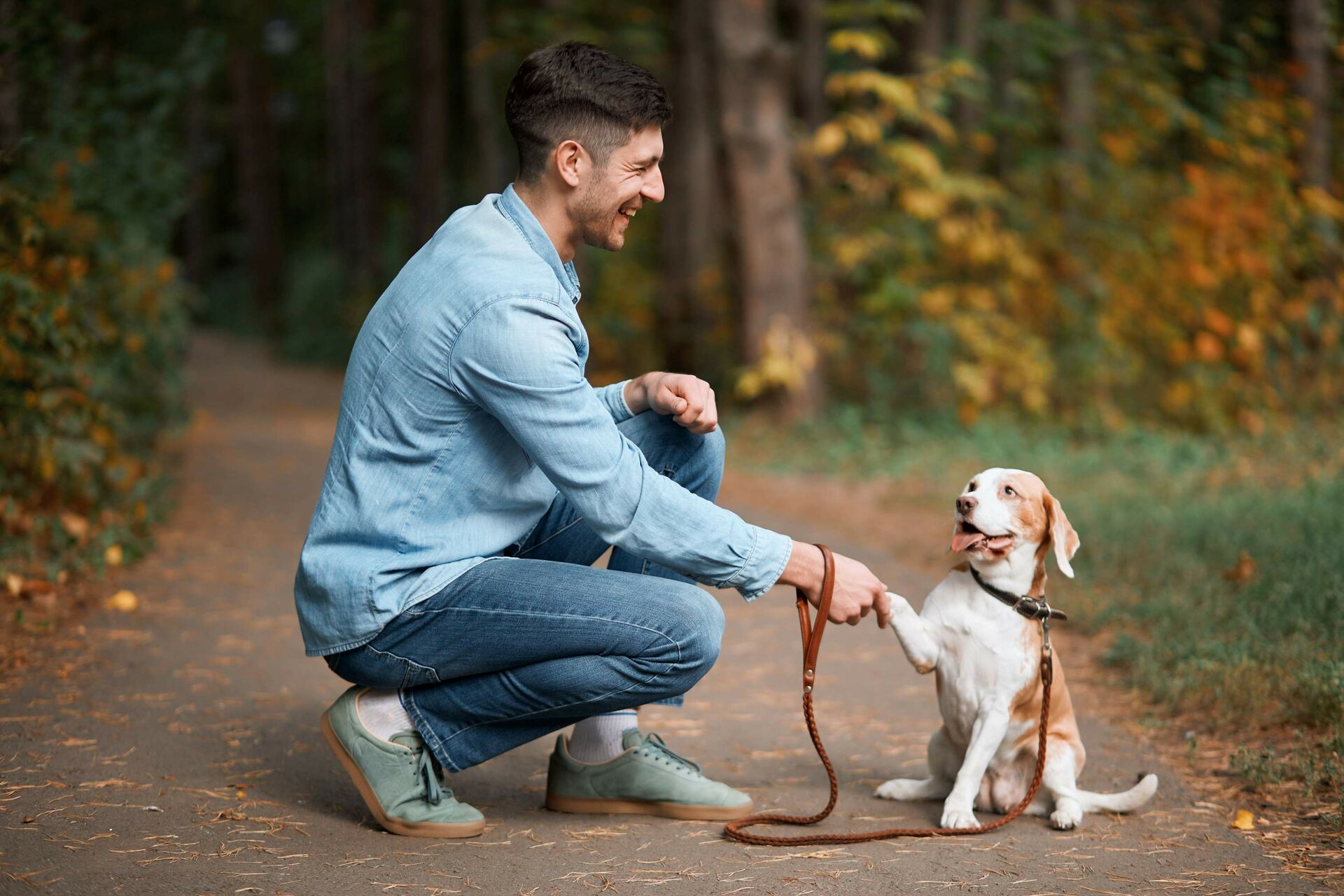 Ein Hund gibt einem Mann die Pfote.