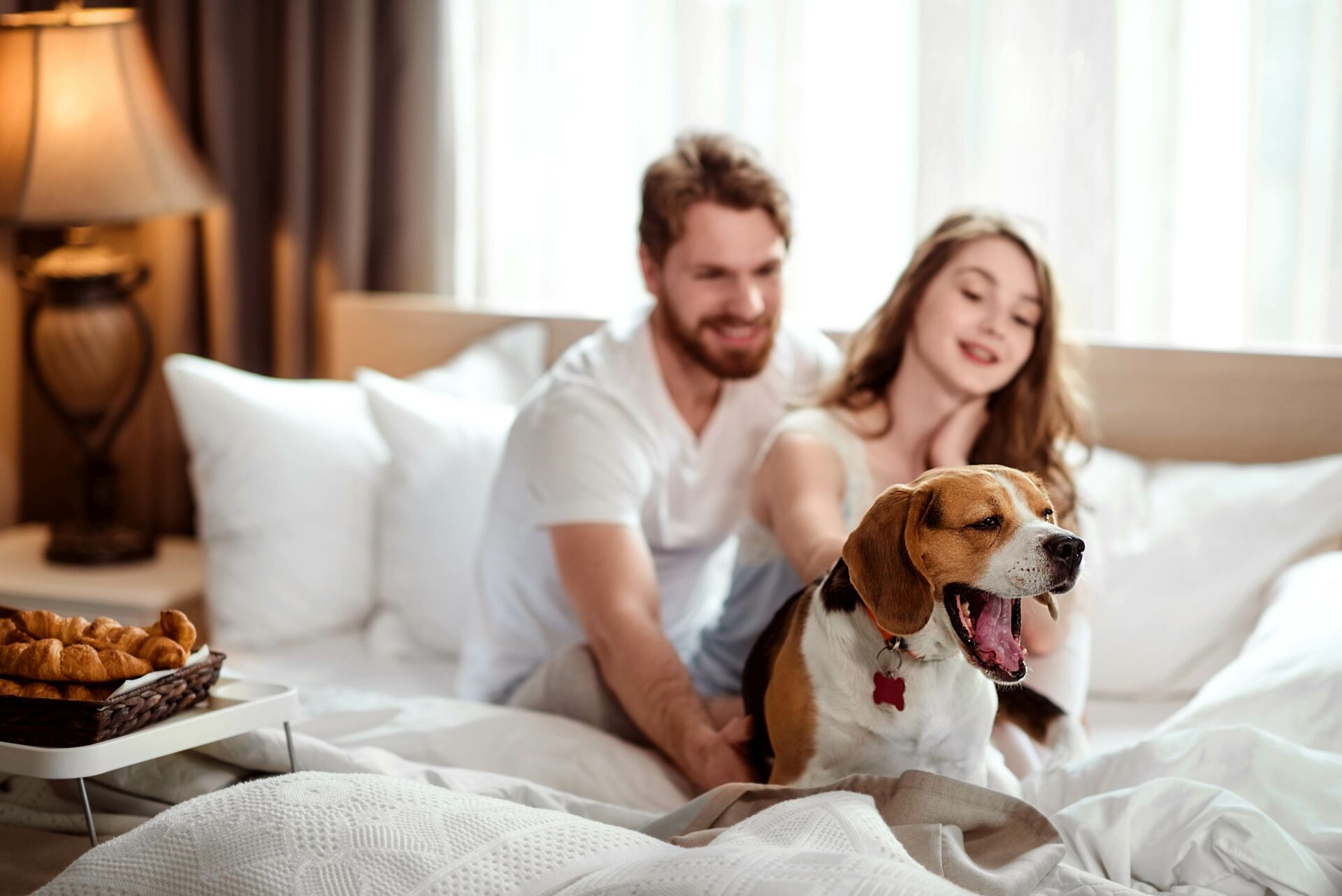 Ein Paar sitzt nebeneinander im Bett und beide streicheln einen Hund, der vor ihnen liegt.