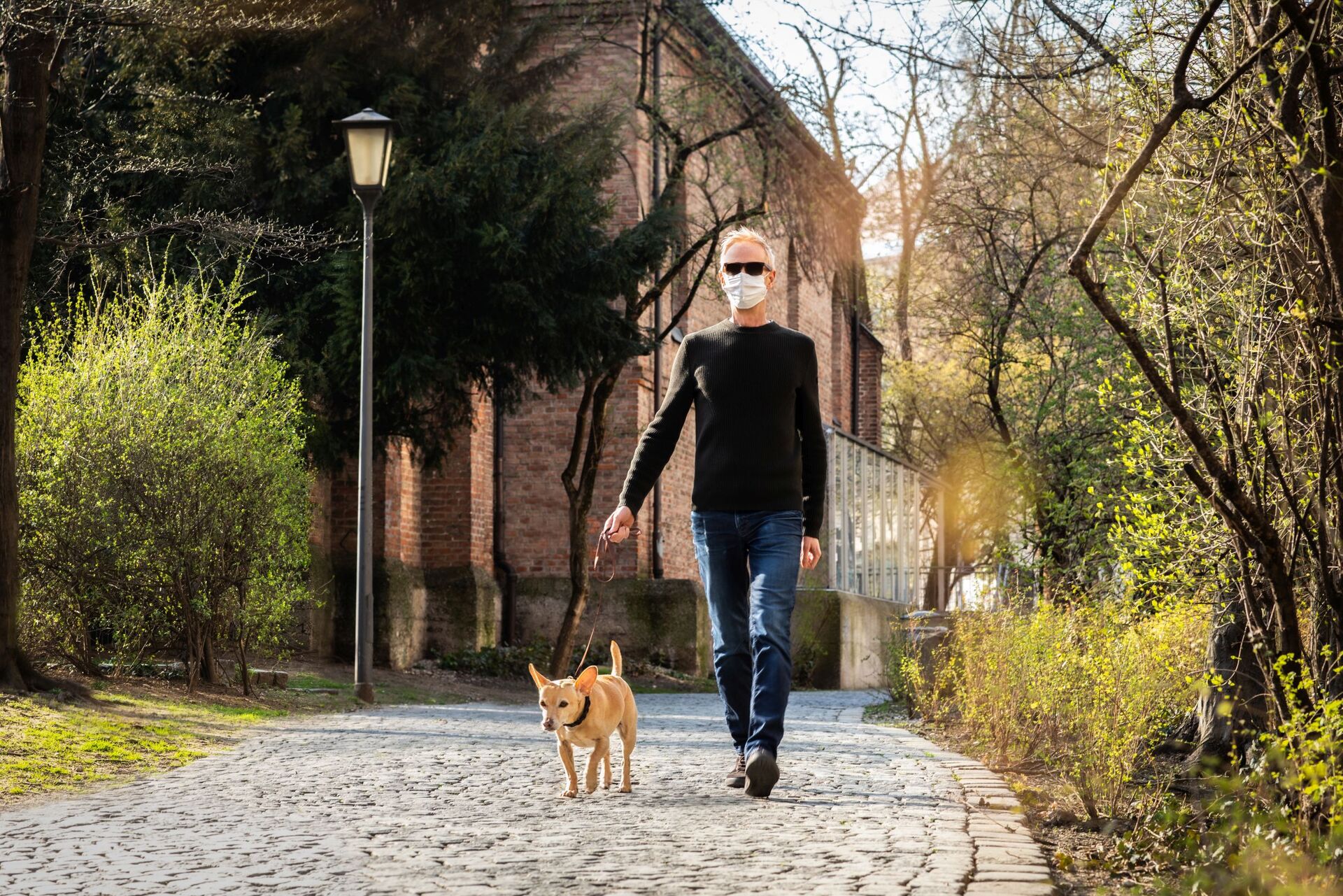 Im Alltag mit Hund – so klappt’s