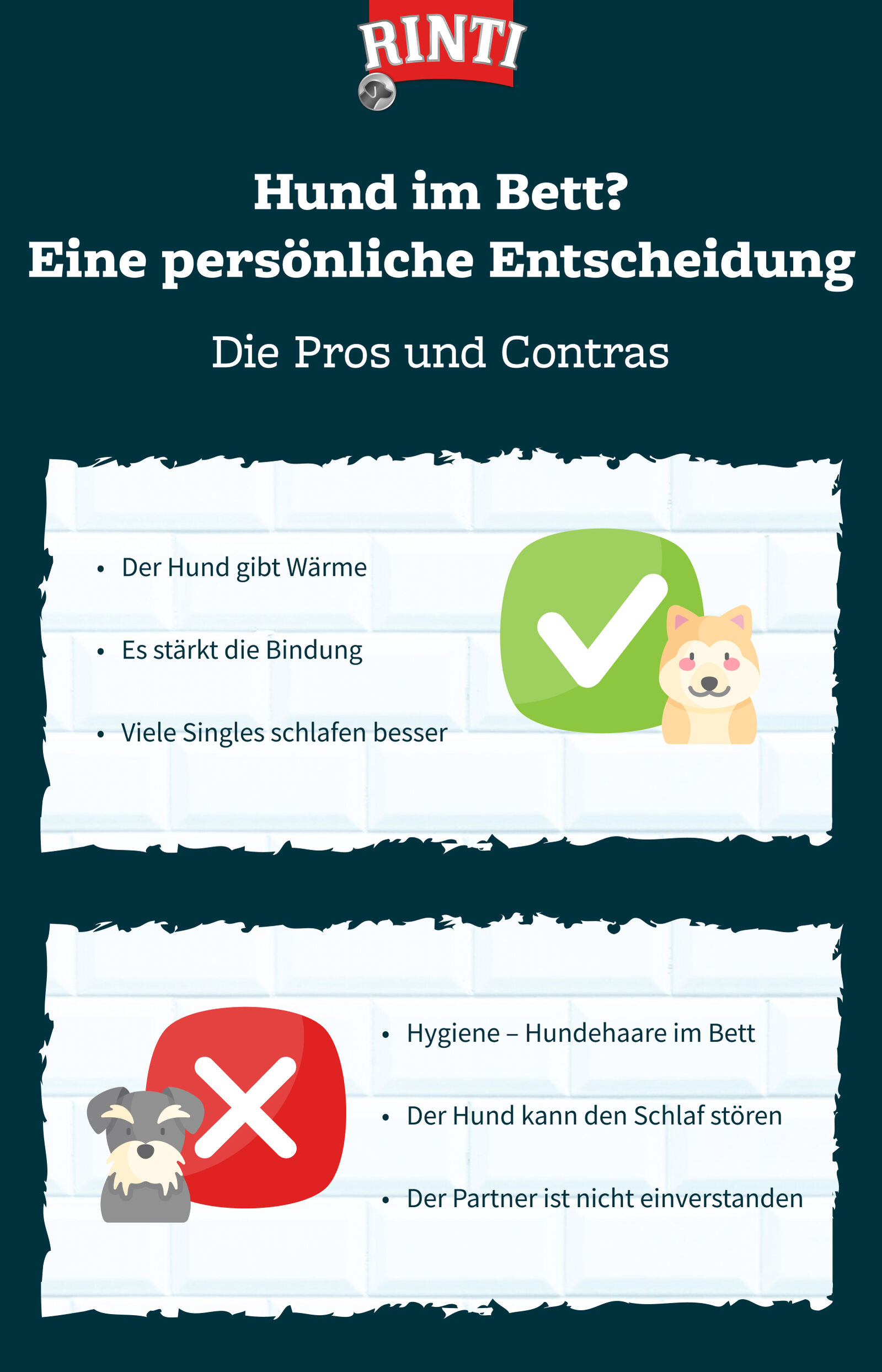 Infografik zum Thema Hund im Bett