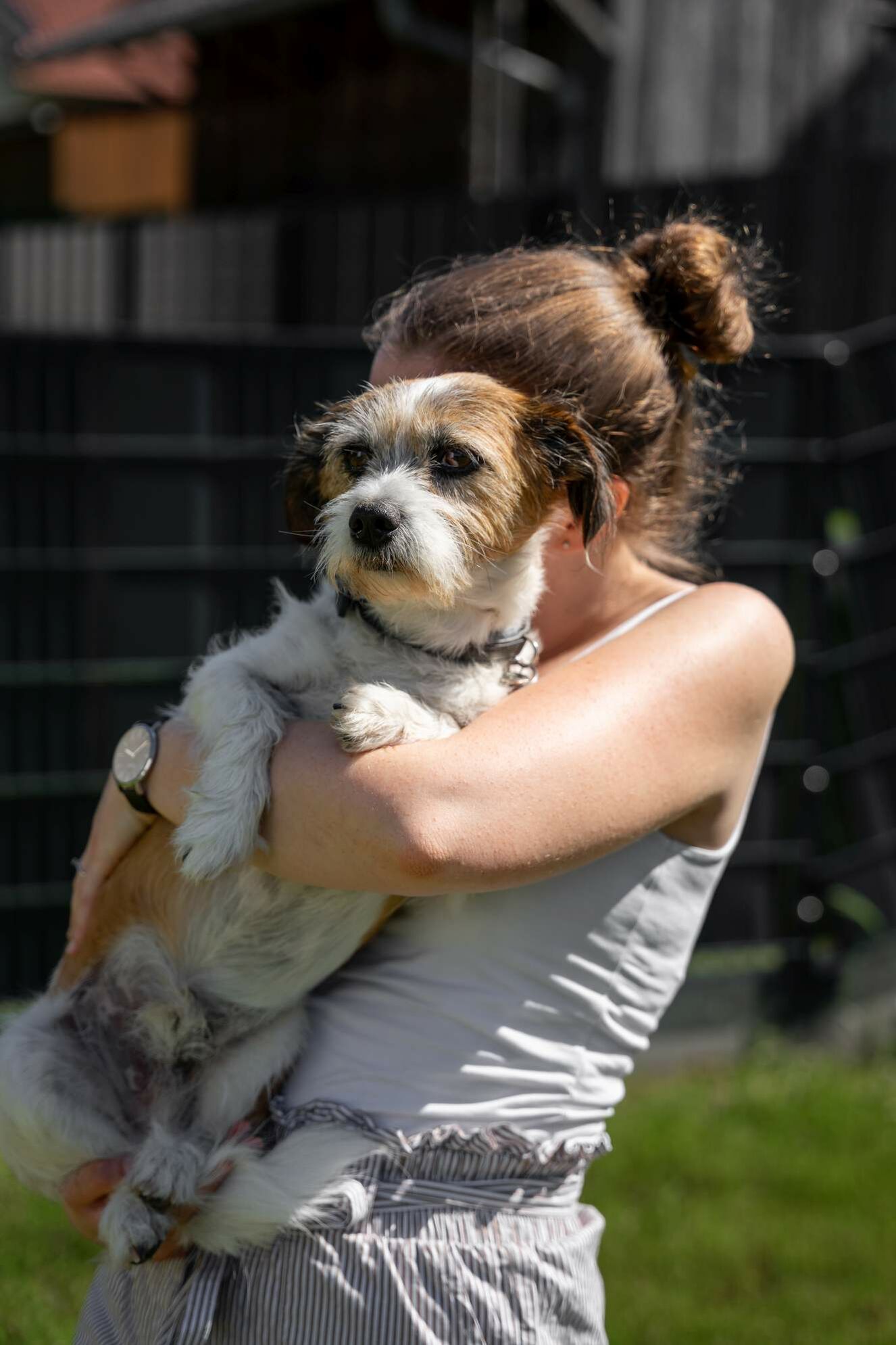 Terrier wird von Halterin gehalten und dabei werden alle Körperteile gestützt.