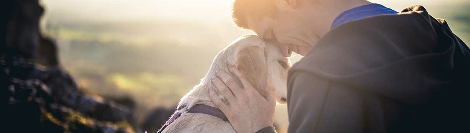 Hund und Halter schmusen draußen vor dem Sonnenuntergang. 