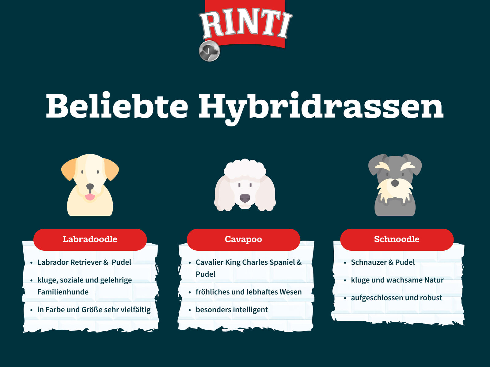 Infografik zu Hybridhunderassen von RINTI