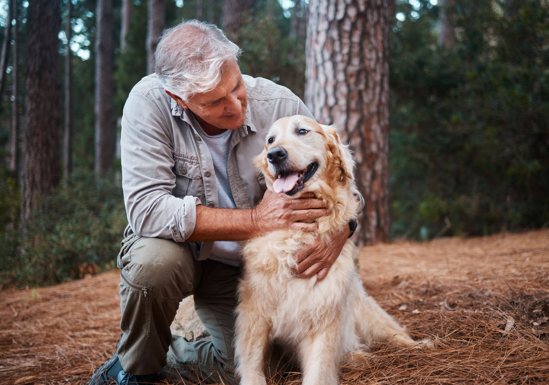 Ein Mann hält einen Golden Retriever auf einem Waldweg.