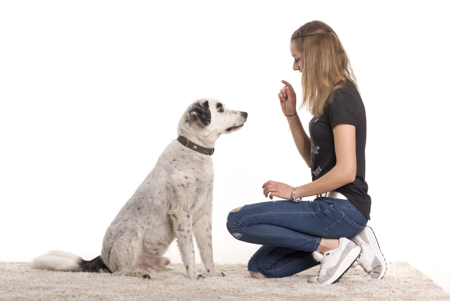 Hunde erziehen – unsere Tipps