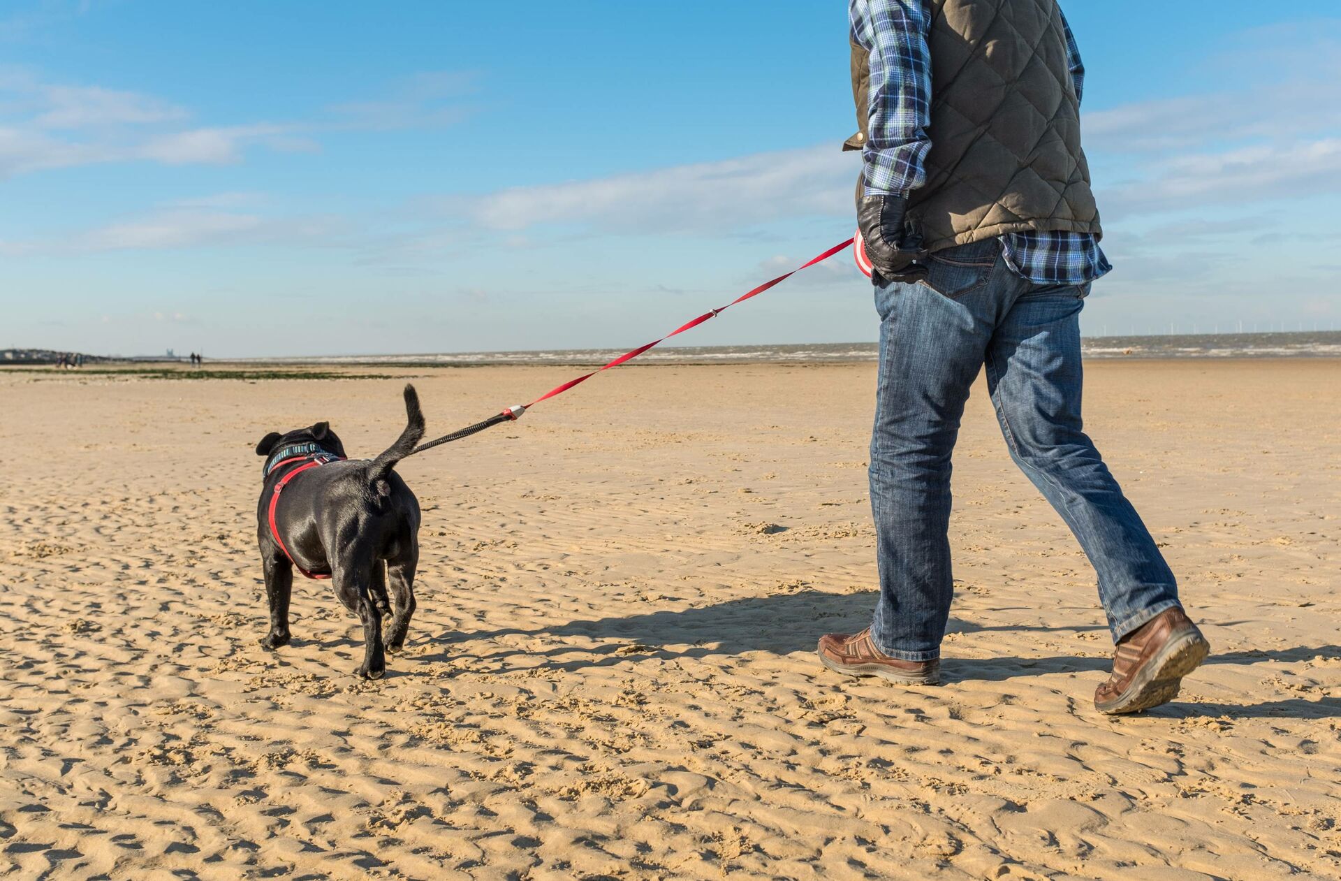Mann geht mit angeleintem Hund am Strand