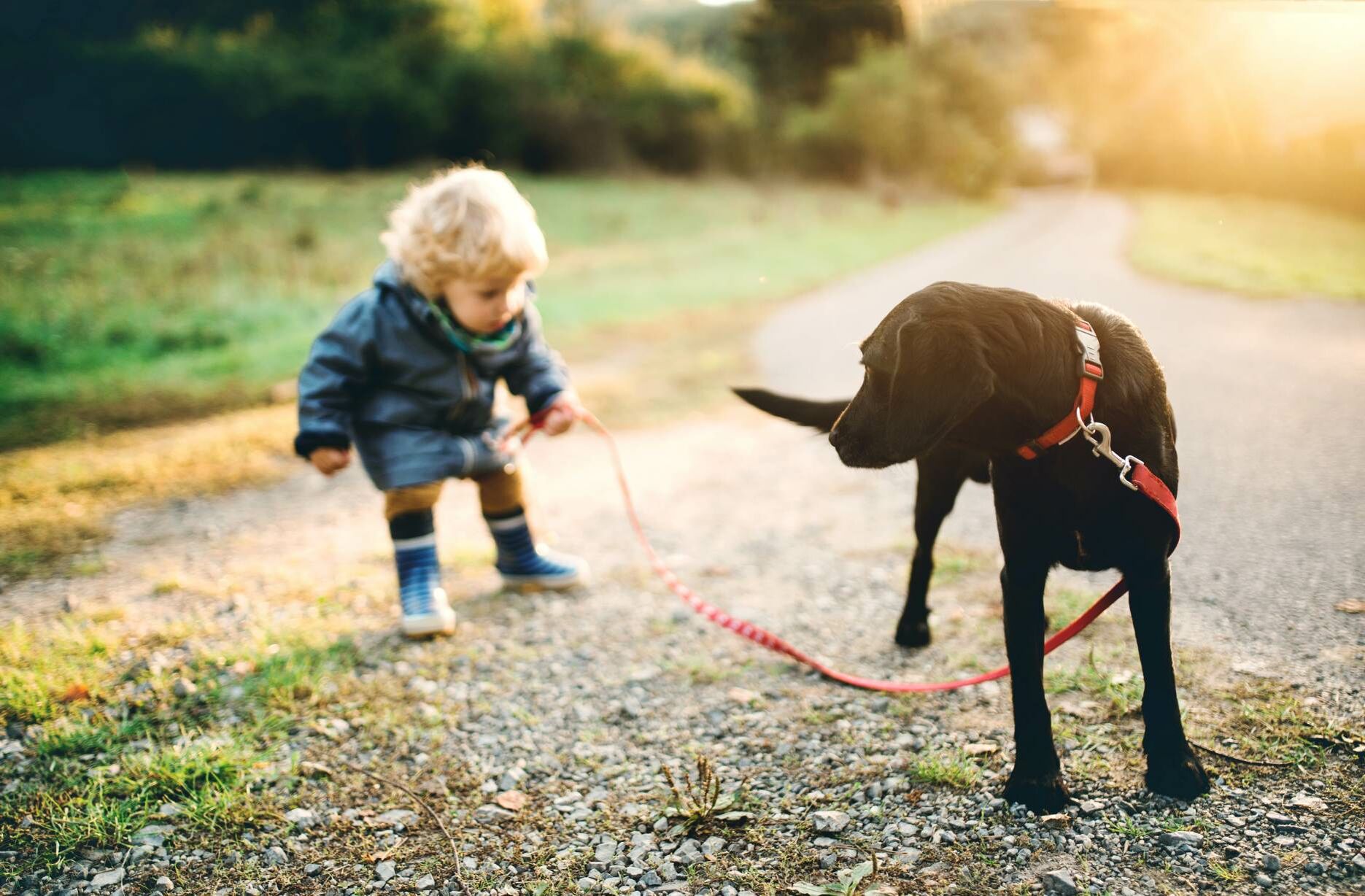 Kind geht mit Hund Gassi.