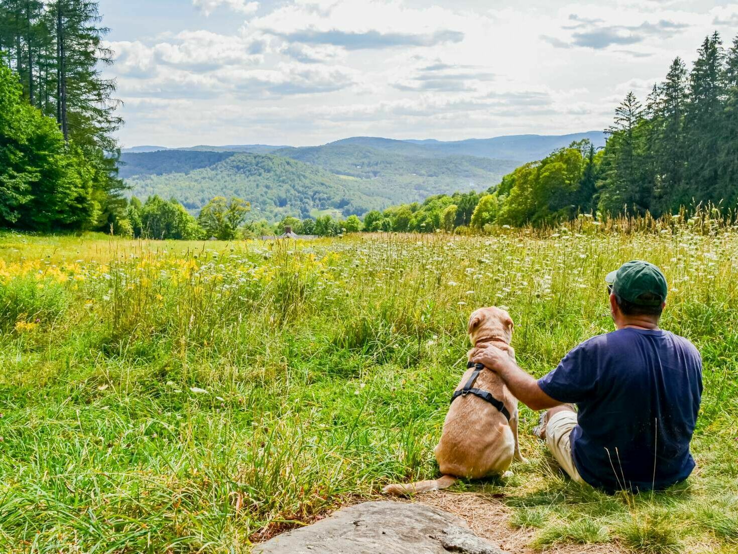 Welcher Hund passt zu mir? 