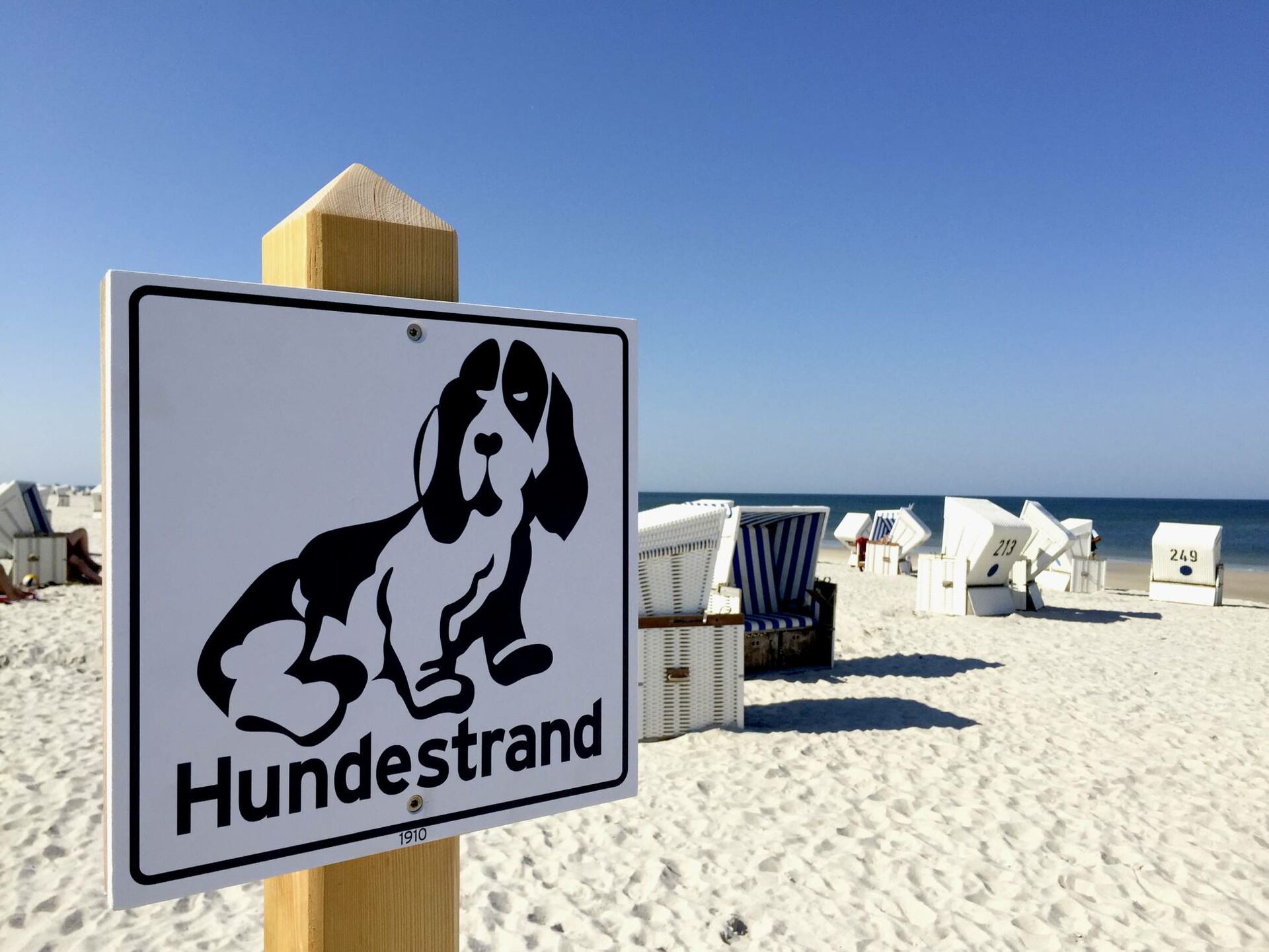 Ein Schild weist auf einen Hundestrand hin.