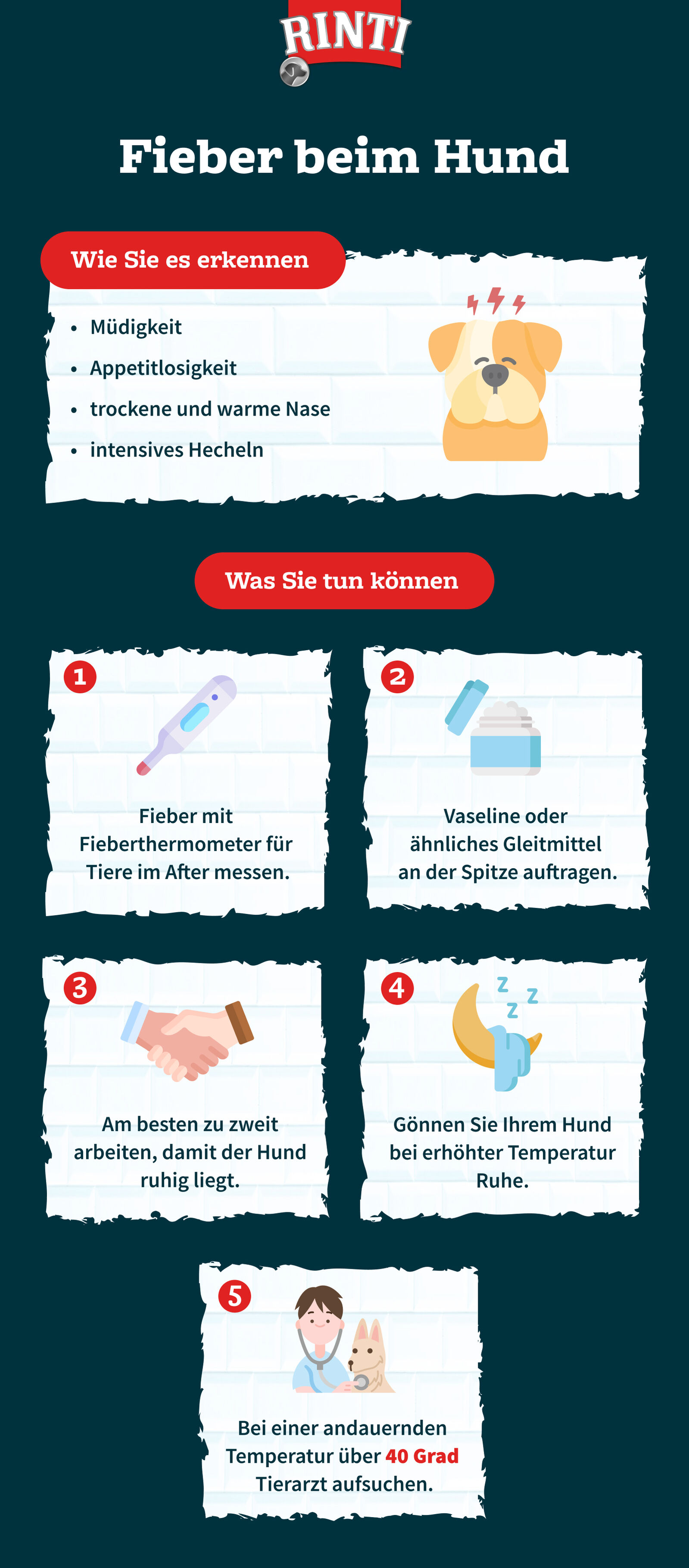 Infografik Fieber beim Hund von RINTI