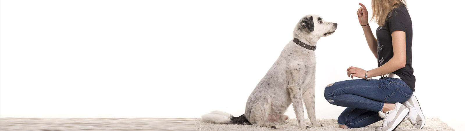 Hund sitzt vor seinem knienden Frauchen, die ein Kommando ausspricht.