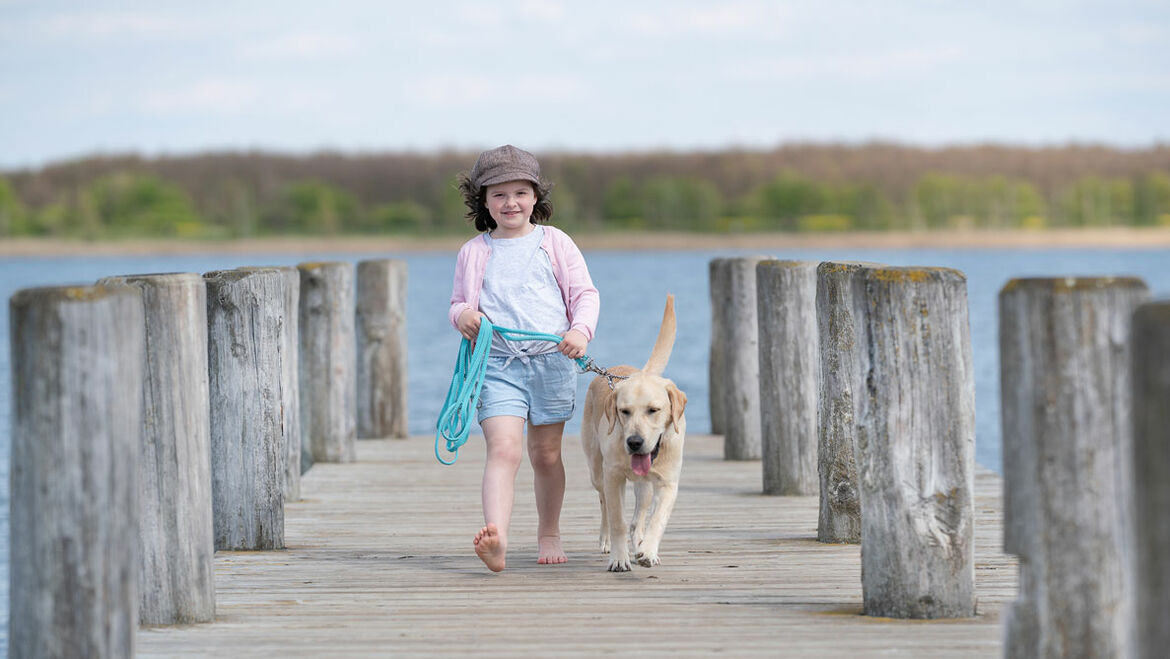 Mädchen führt Labrador an der Leine