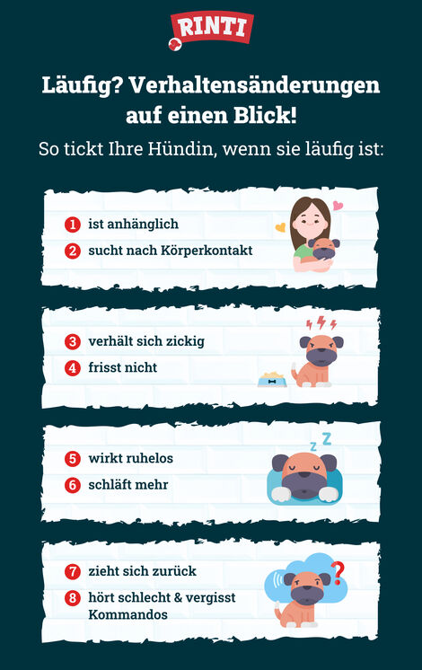 Läufigkeit bei Ihrer Hündin was ist zu tun? RINTI