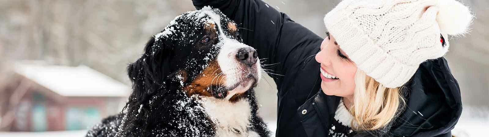 Eine Frau spielt mit ihrem Hund im Schnee.