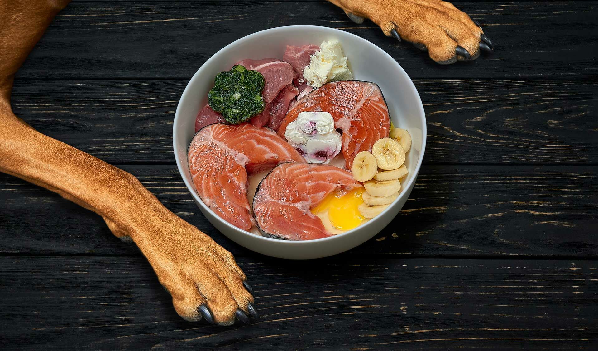 Eine Schale mit frischem Fisch, Fleisch, Quark, Ei sowie einem Nahrungsergänzungsmittel für Hundefutter.