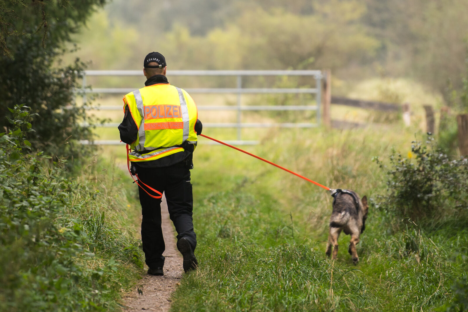 Ein Polizist mit einem Spürhund im Gelände