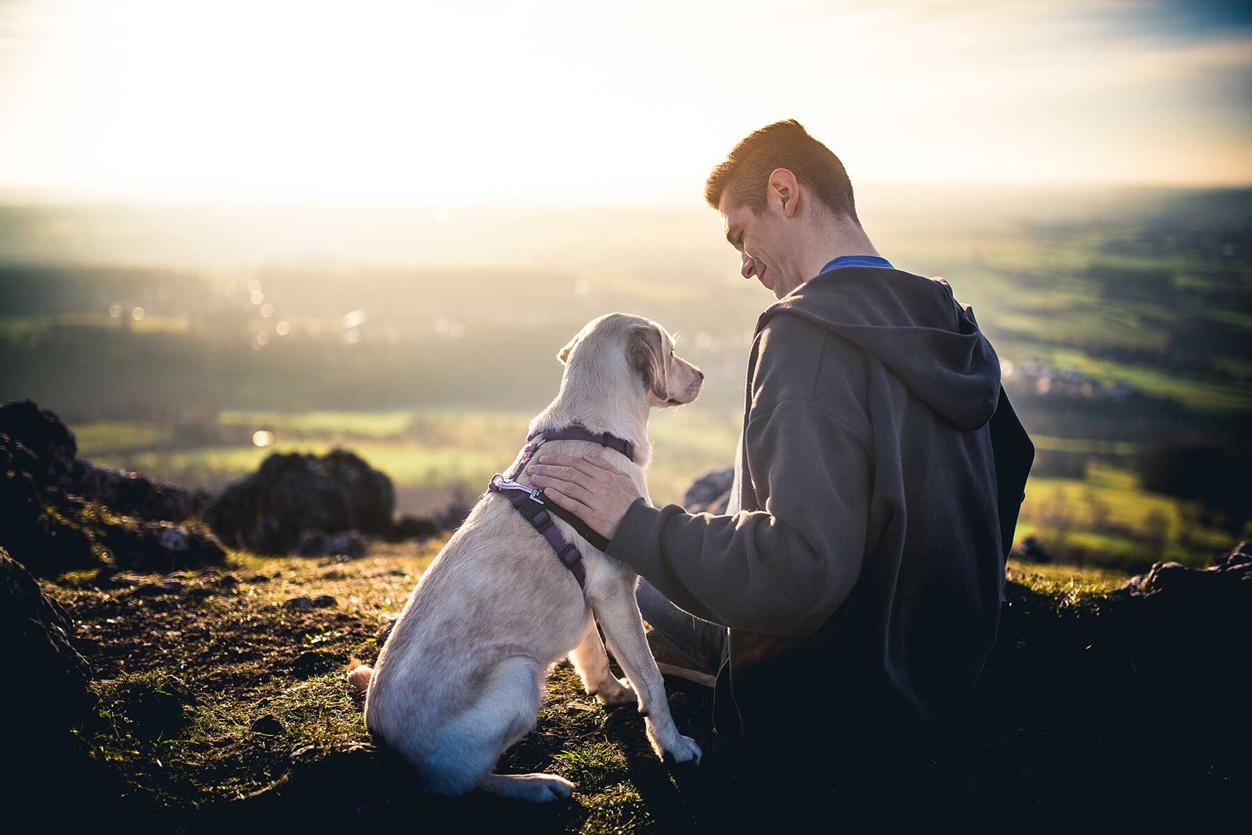 Bindung zum Hund aufbauen