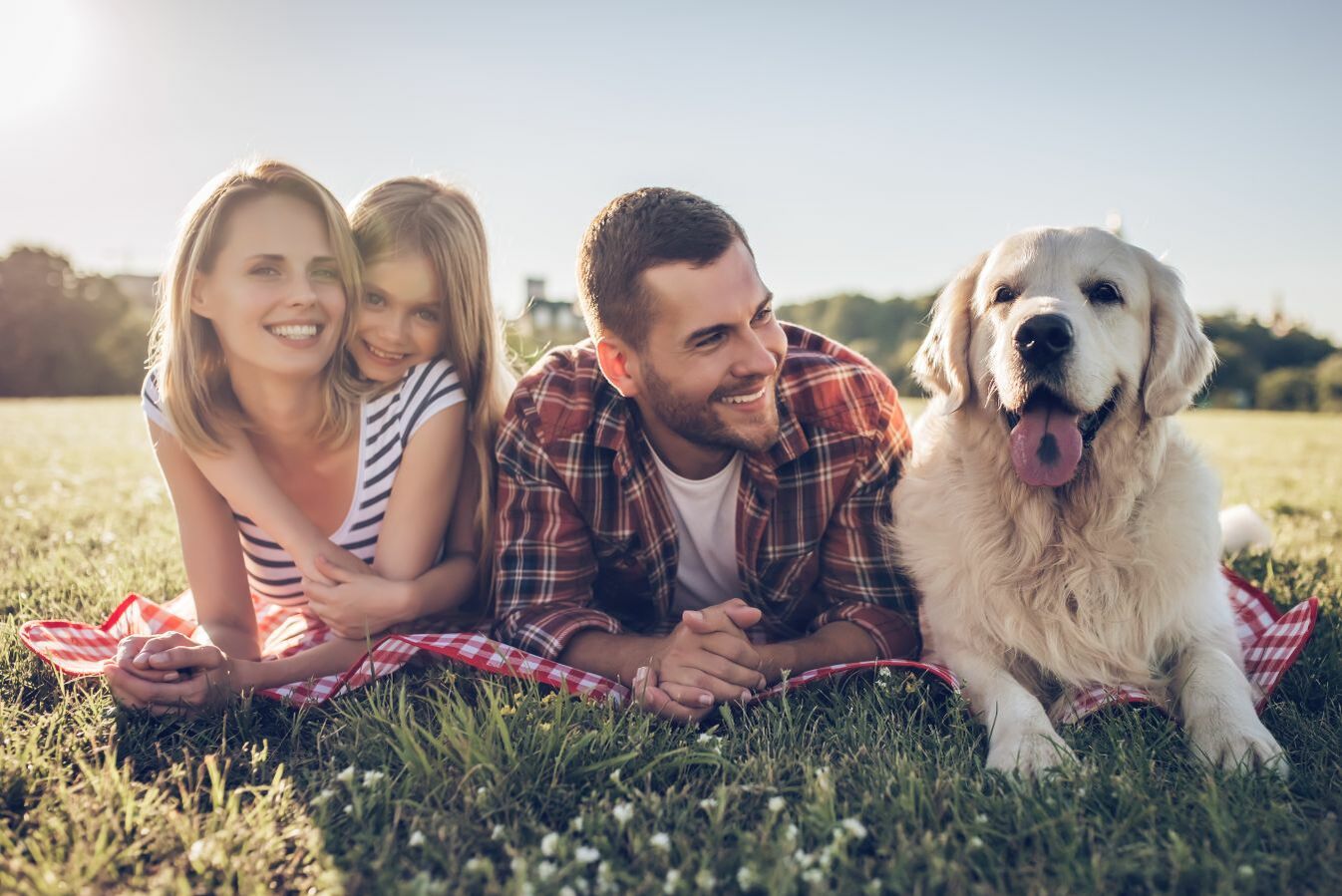 Familie liegt mit Hund auf einer Wiese.