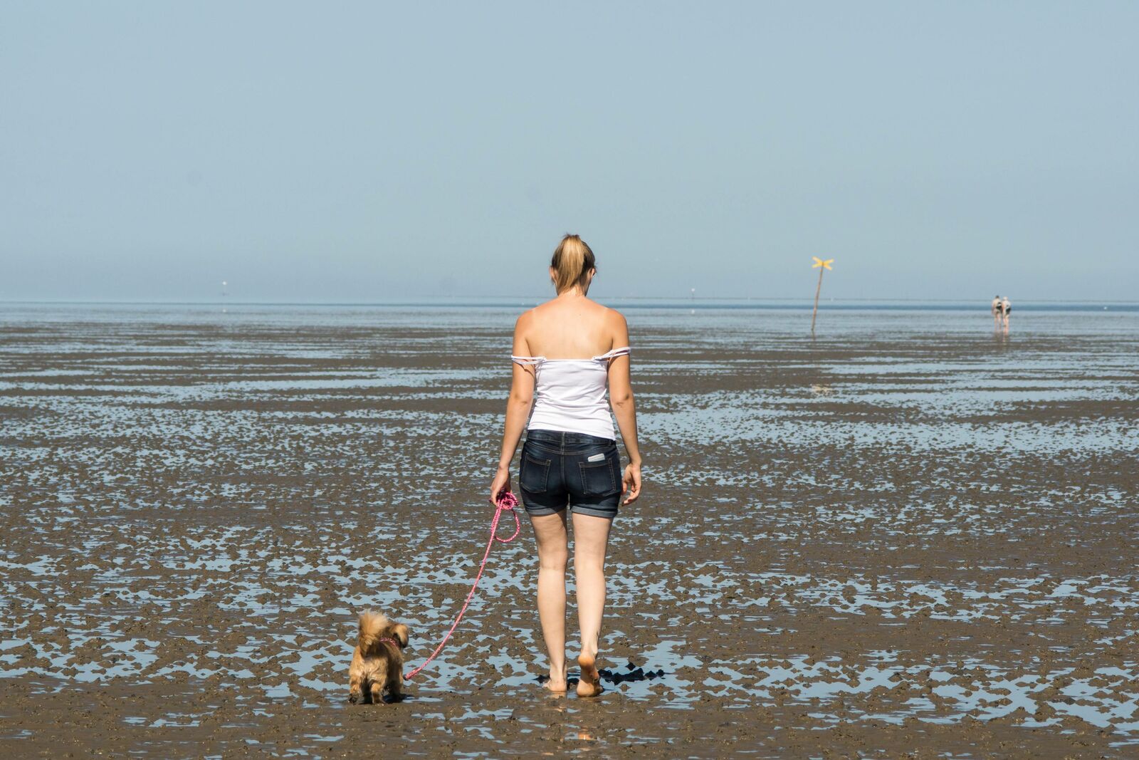 angeleinter-hund-im watt.jpg Frau geht mit angeleintem Hund im Watt spazieren