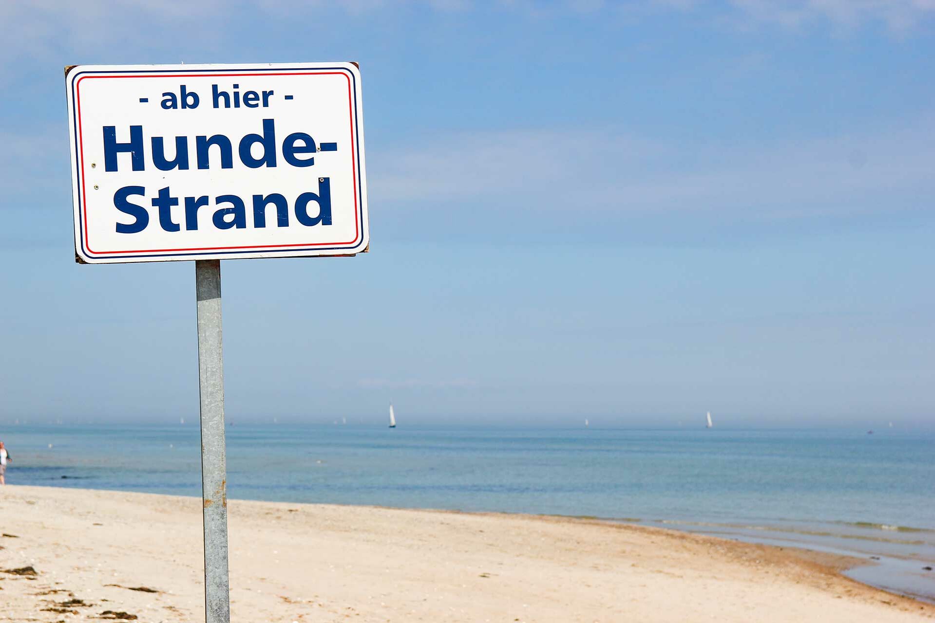 Ein Schild in den Dünen weist auf einen Hundestrand hin.