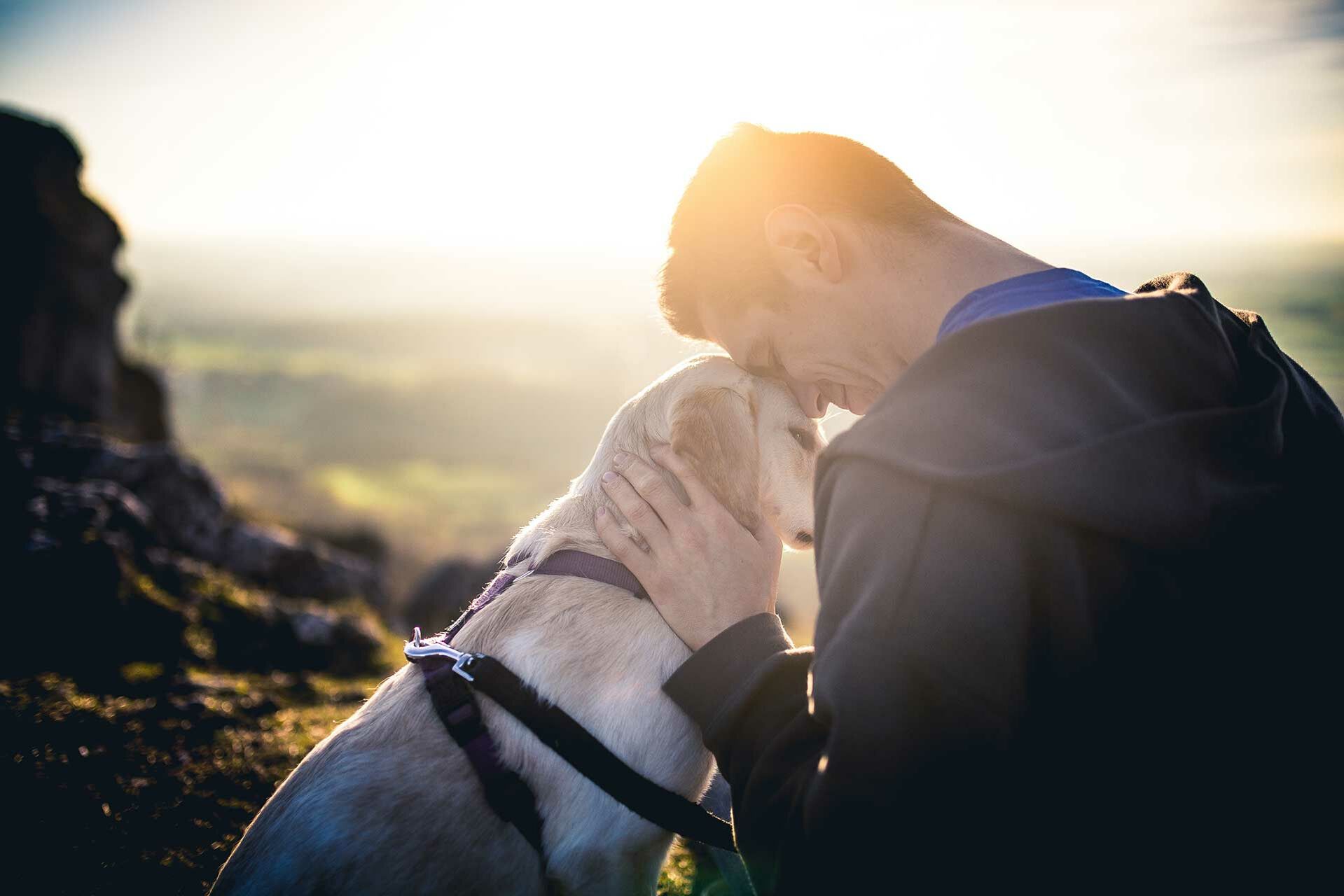 Bindung zum Hund stärken