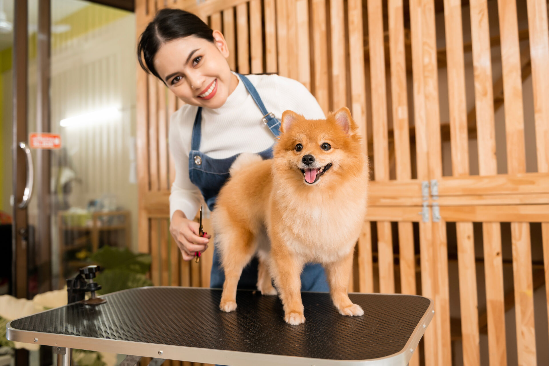  Ein Hund wartet bei einer Hundefriseurin auf dem Frisiertisch – beide lächeln in die Kamera.